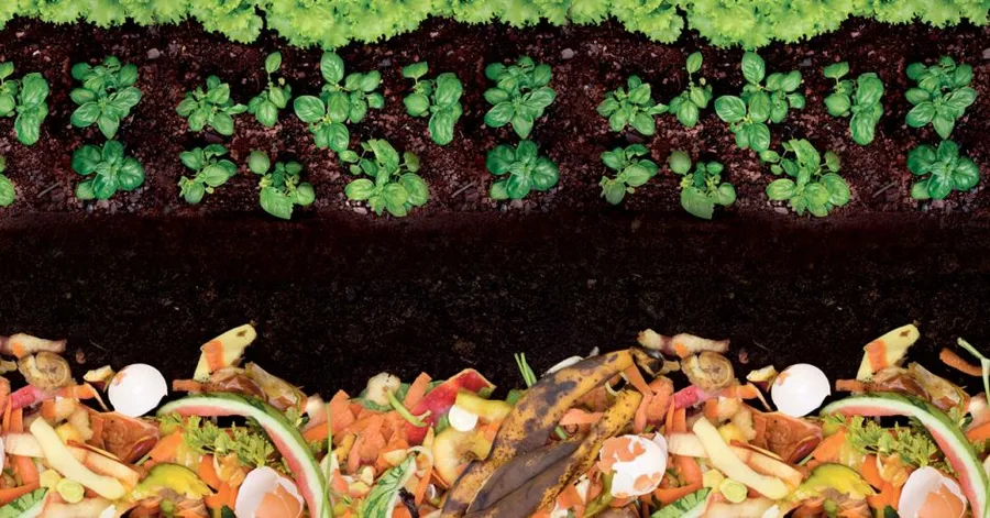 ¿Cómo hacer tu propio compost casero?