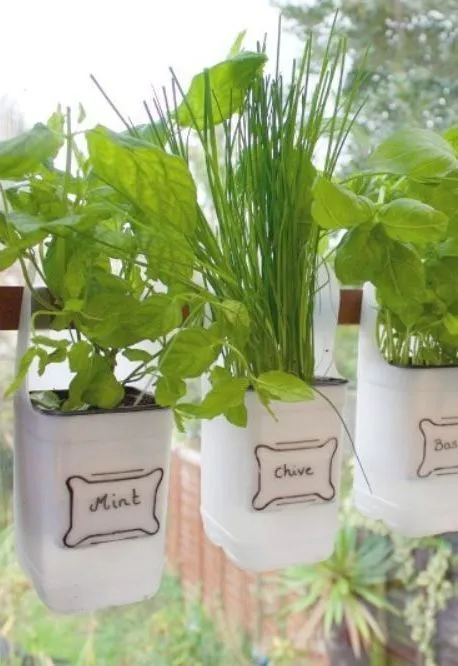 Macetas para sembrar tus aromáticas hechas de plástico reciclado