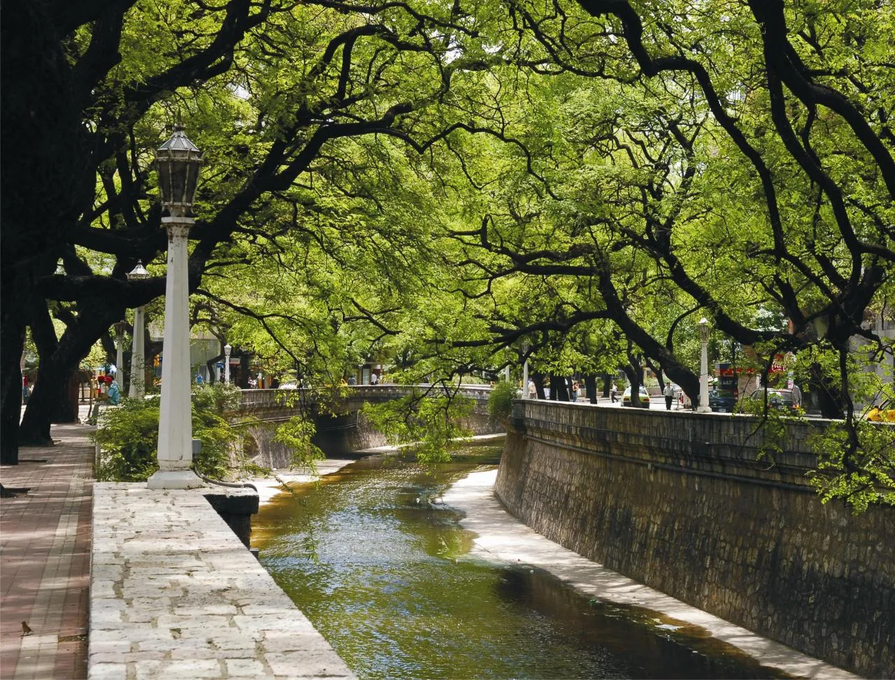 Los árboles en la Cañada en Córdoba, Argentina aportan gran belleza a la ciudad.