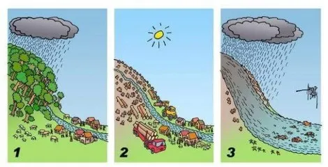 Viñeta que explica cómo los árboles previenen las inundaciones.