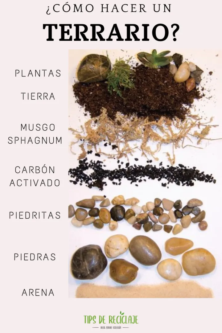 Pasos a seguir para construir tu terrario.