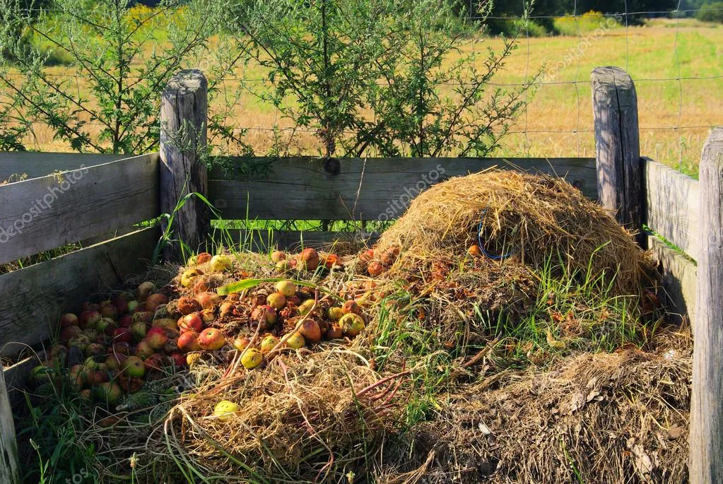 Cómo hacer compost en pila