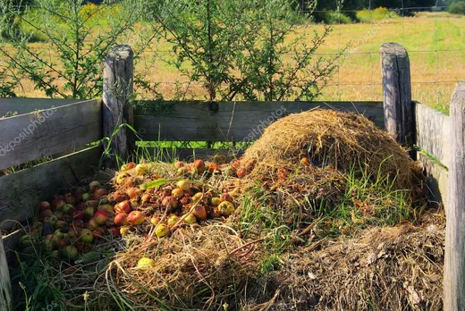Cómo hacer compost en pila