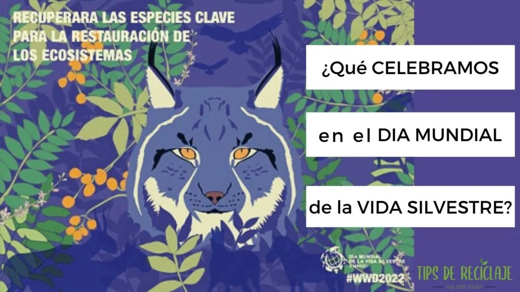 Póster de celebración del día Mundial de la Vida Silvestre