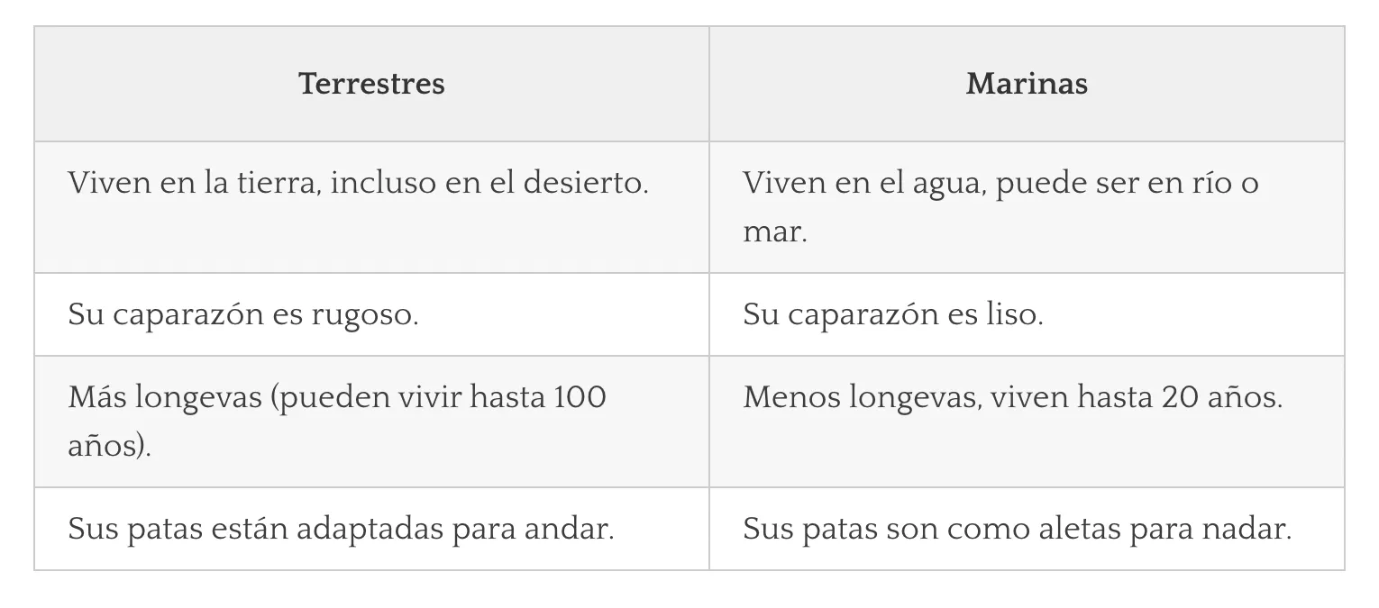 Día mundial de las tortugas. Diferencias entre tortugas terrestres y marinas.