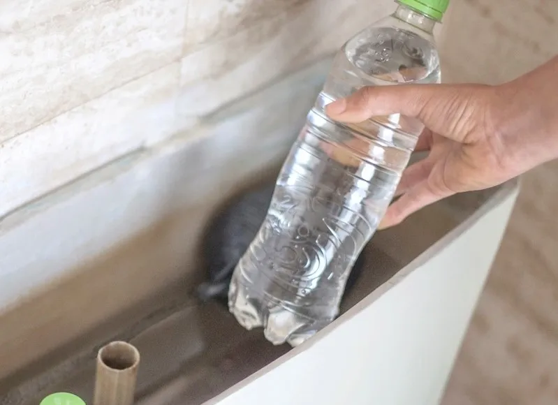 Coloca una botella llena dentro de la mochila del inodoro para ahorrar agua