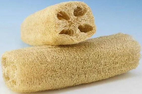 Esponja vegetal