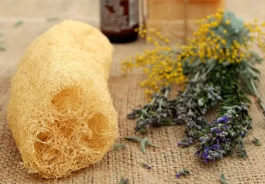 Las esponjas vegetales son naturales y ecológicas