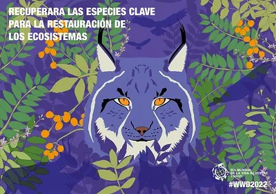 Poster ilustrativo de #WWD2022