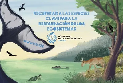 Poster Día Mundial de la Vida Silvestre