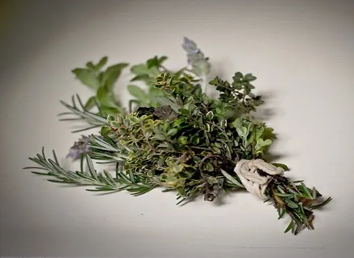 Ahuyentar las mosquitas con plantas aromáticas.