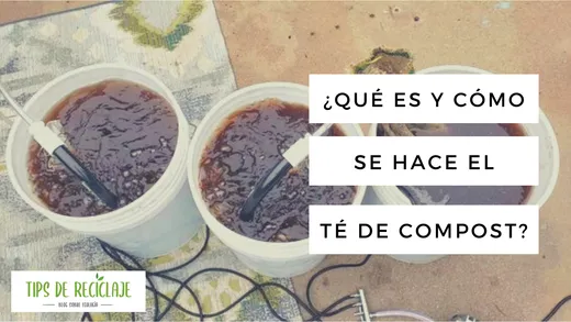 ¿Qué es el té de compost y cómo se hace en casa?