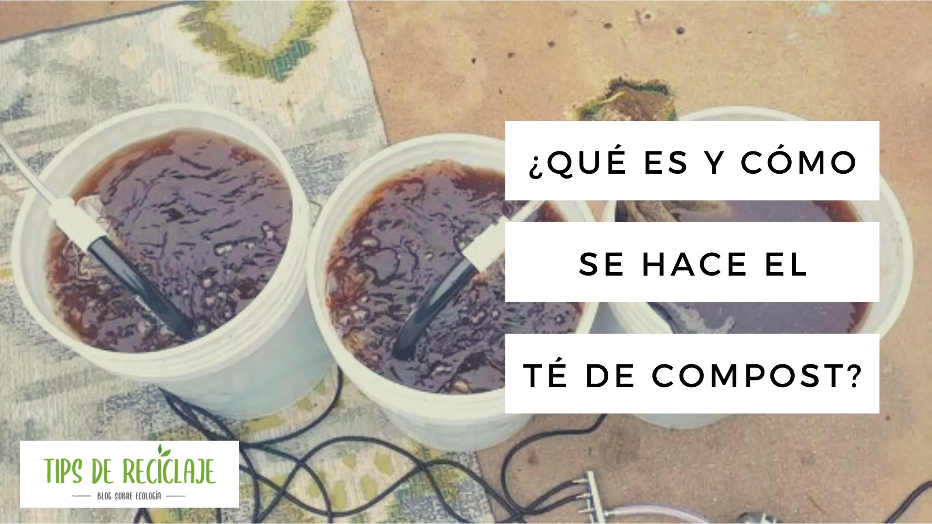 ¿Qué es el té de compost y cómo se hace en casa?