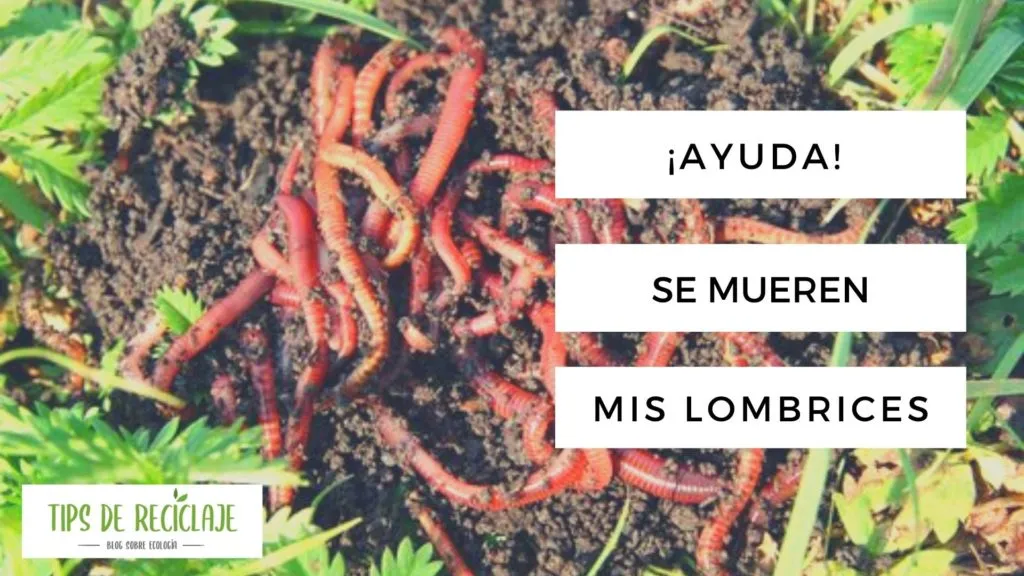 ¡Ayuda! Se mueren mis lombrices en el compostador