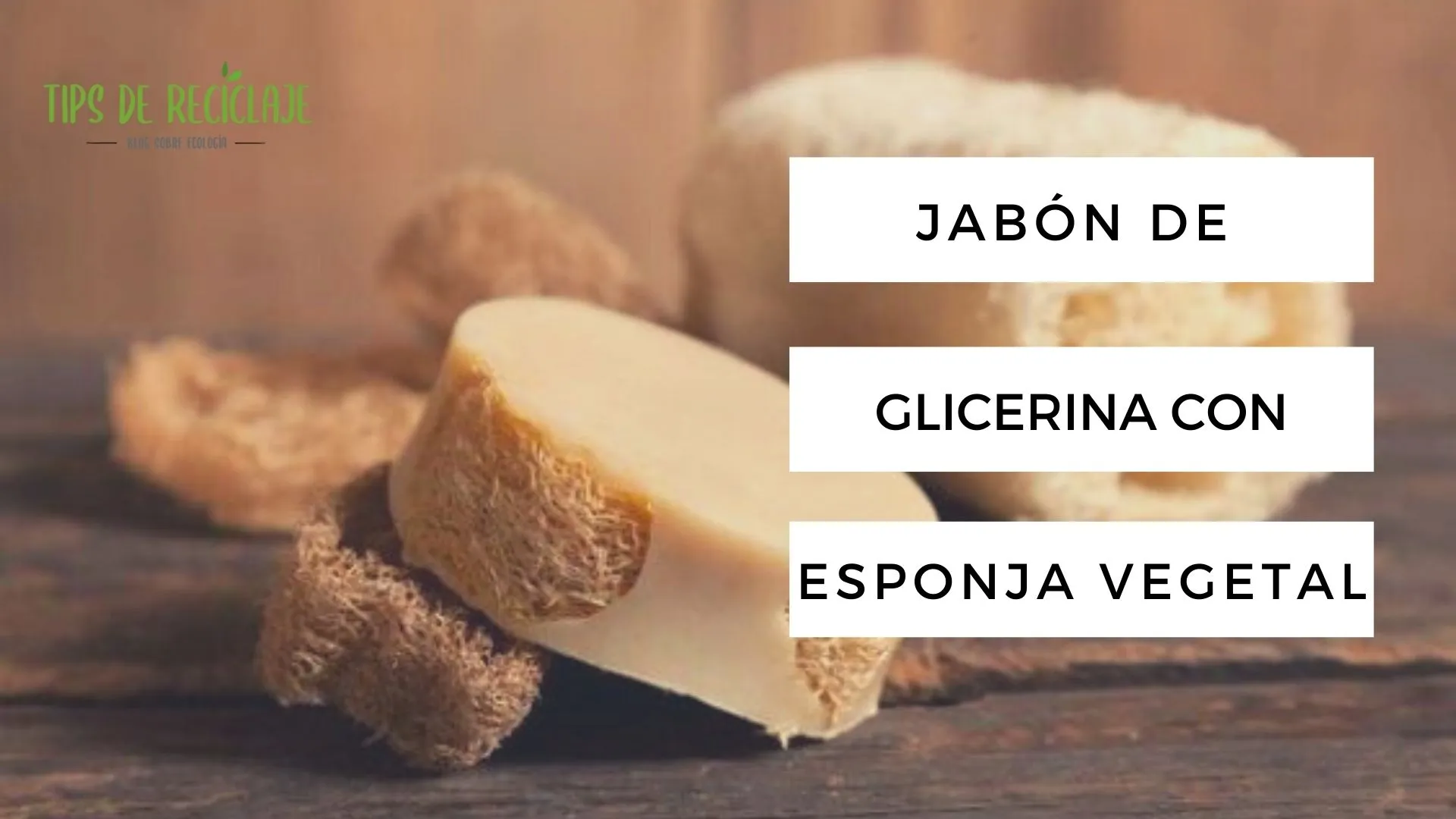 Jabón de glicerina con esponja vegetal