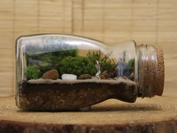 Terrario hecho con un frasco de café