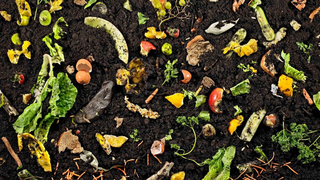 Residuos orgánicos en Compost Casero