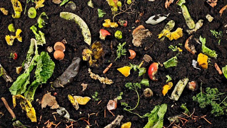 ¿Qué Es El Compost Y Para Qué Sirve? | Tips De Reciclaje