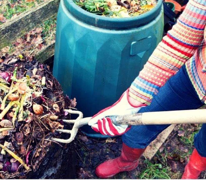 Los 6 problemas más comunes del compost