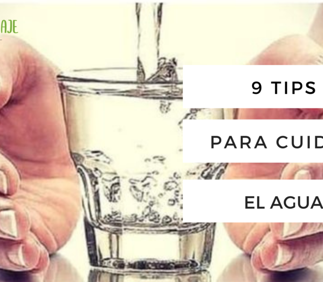 9 Tips para cuidar el agua
