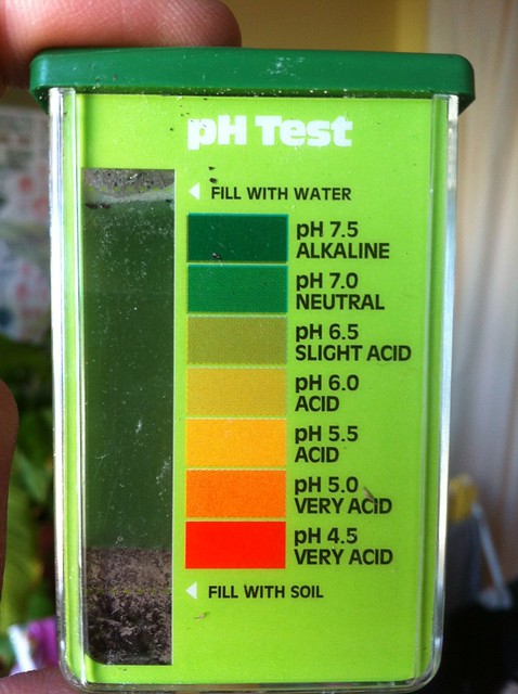 Medidor de pH 