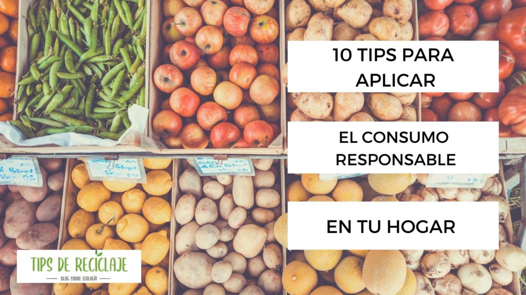 10 Tips para aplicar el consumo responsable en tu hogar.